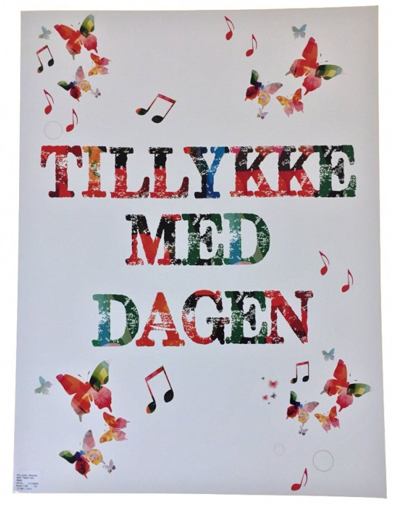 Tillykke Med De 13 år